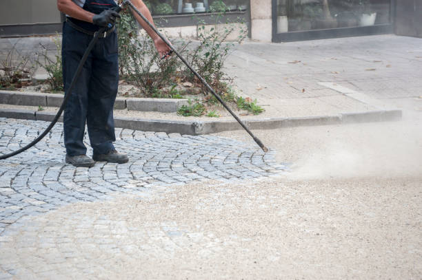 Pre-Holiday Cleaning in Lake Ronkonkoma, NY